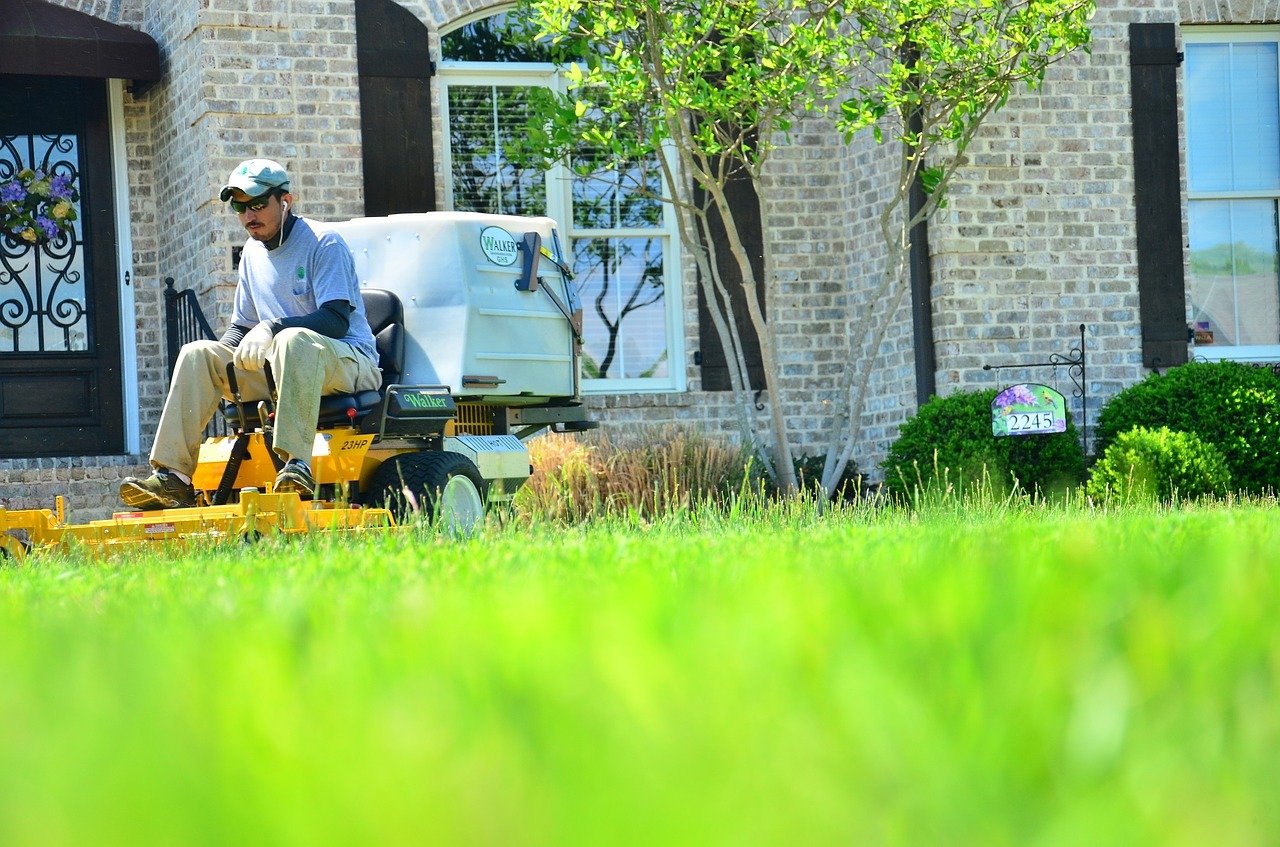 Eco Friendly Lawn Care Guide