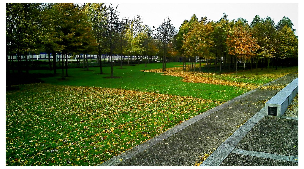 Preparing Your Lawn for Hot Summer Days