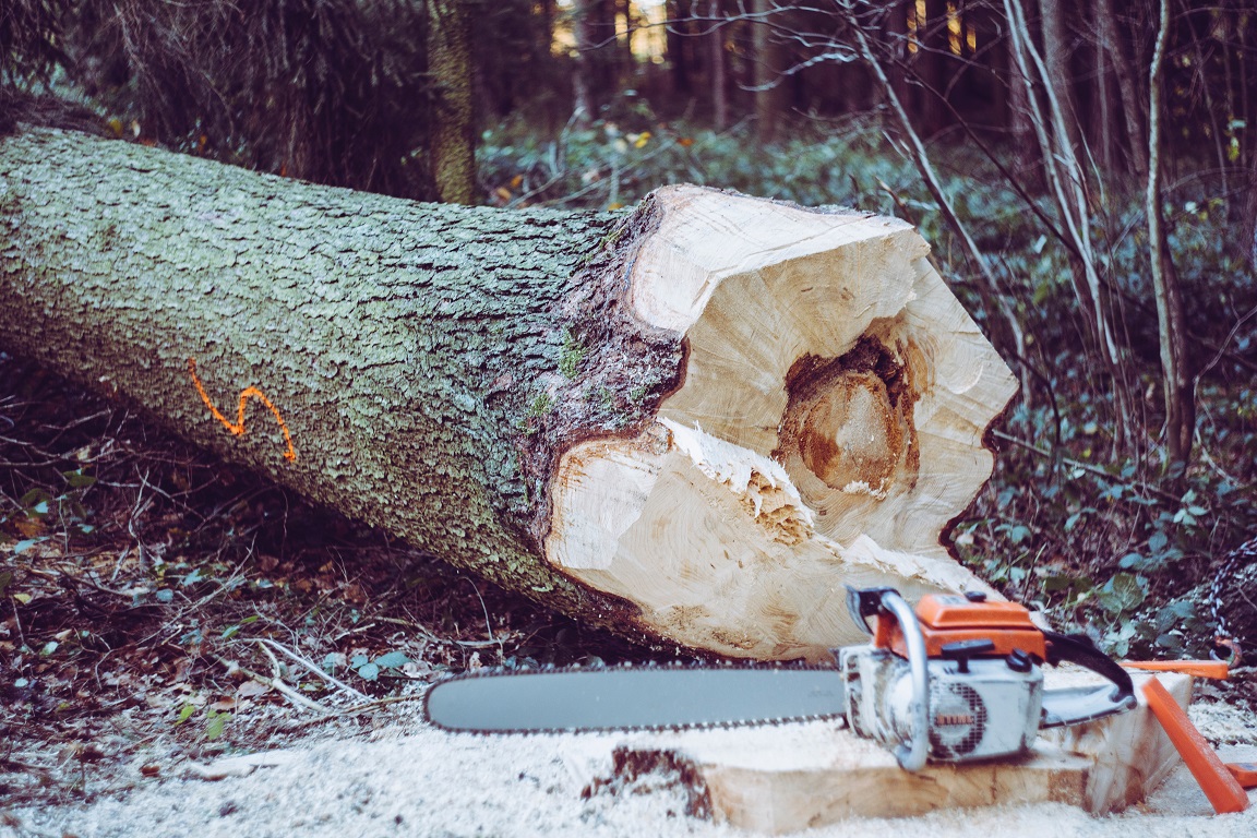How to use a Chainsaw Sharpener