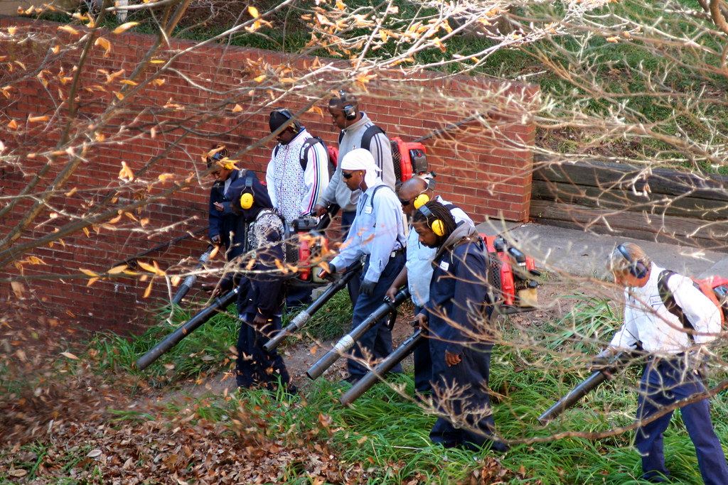 Leaf Blowing And What The Law Says